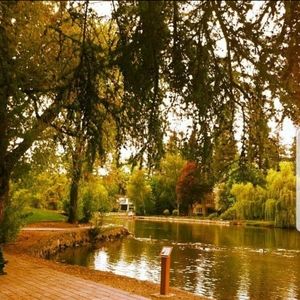 Meet your Posher, Marissa